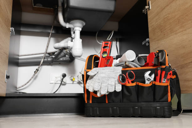 Best Plumbing Inspection Services  in Ajo, AZ